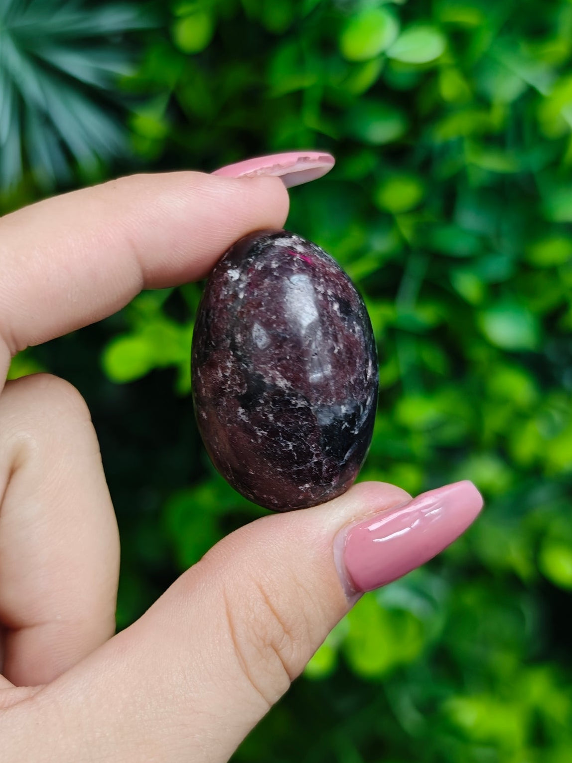 Garnet with Astrophylite Tumbled Stones