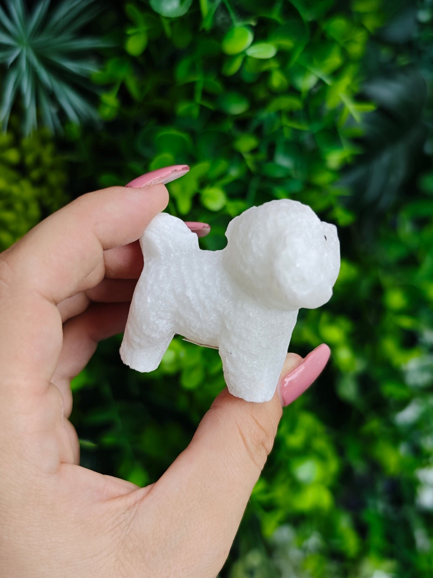 White Jade Poodle Carving