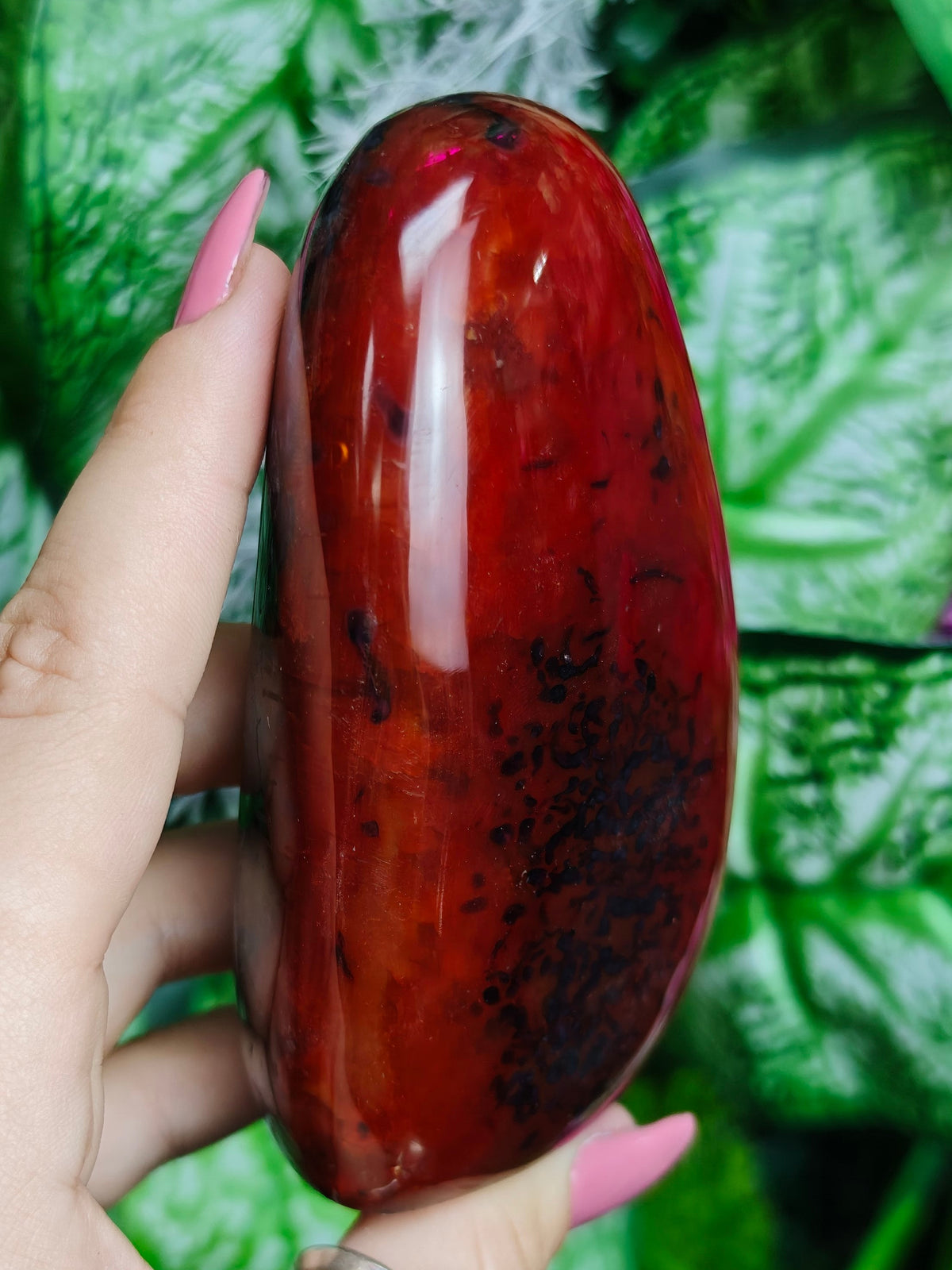 Carnelian & Orca Agate Freeform