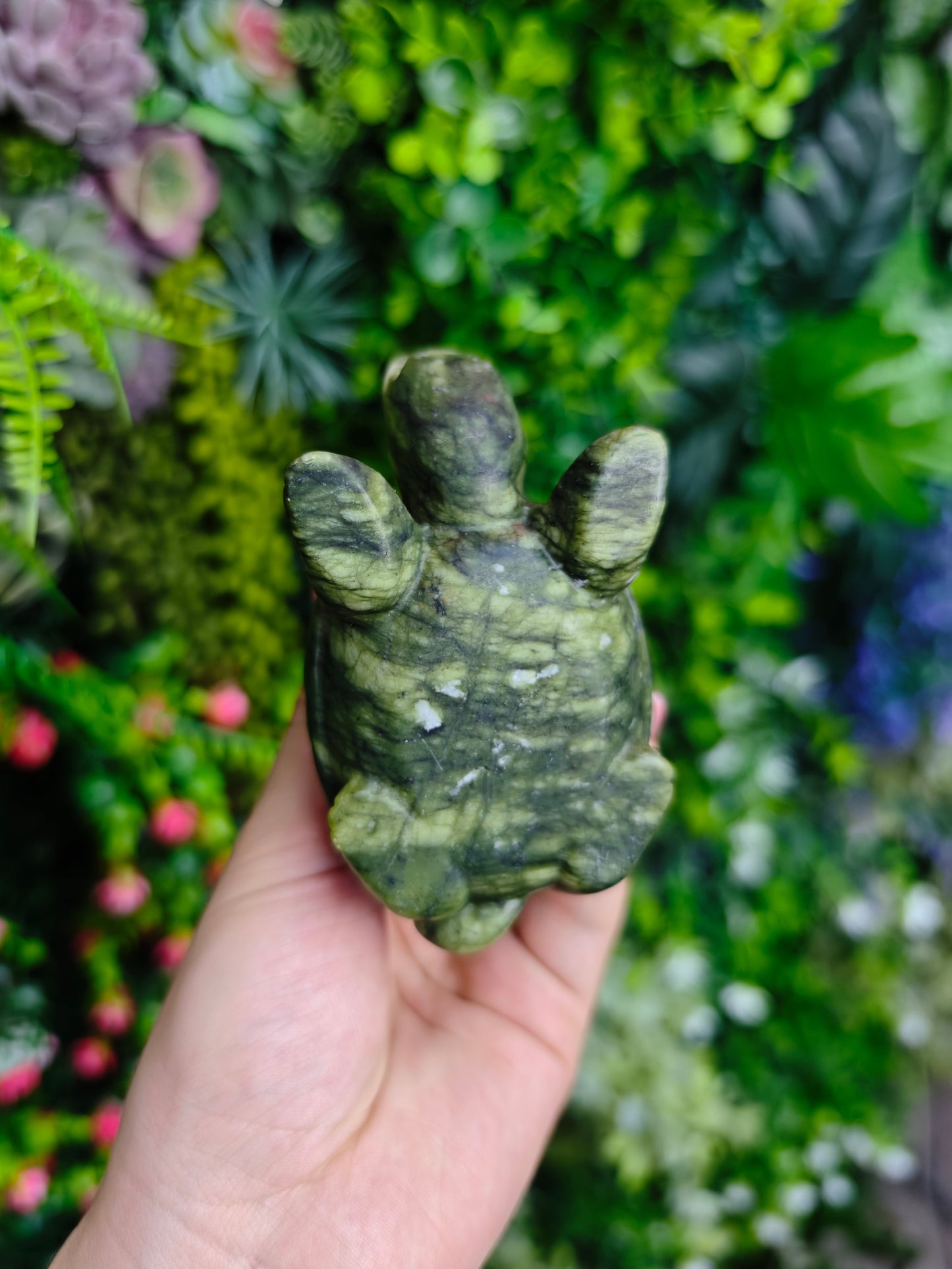 Green Jade Turtles