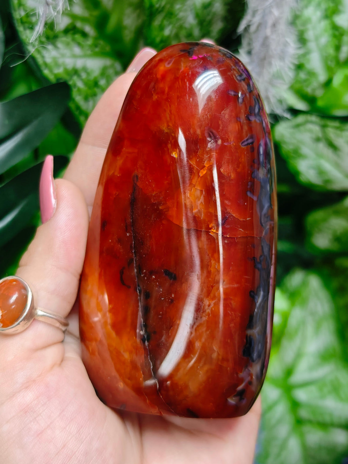 Carnelian & Orca Agate Freeform
