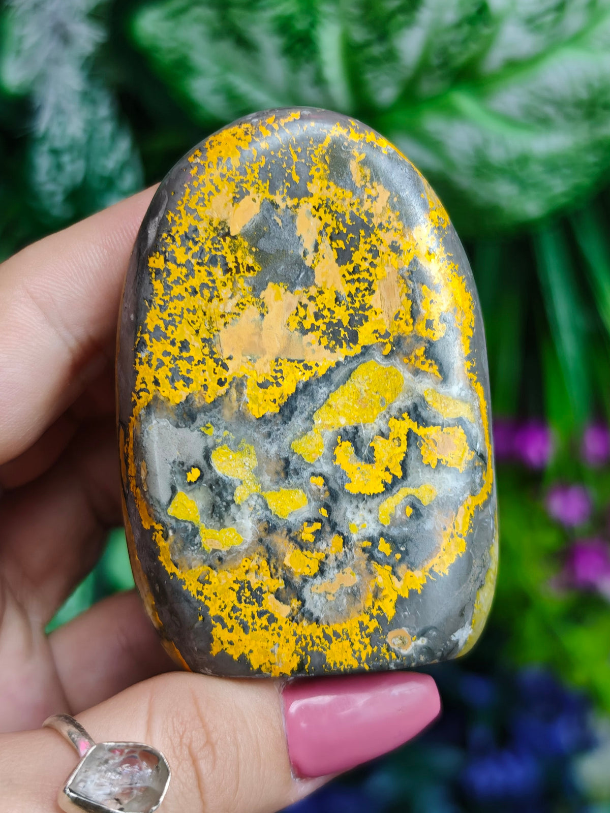 Bumblebee Jasper Free Form