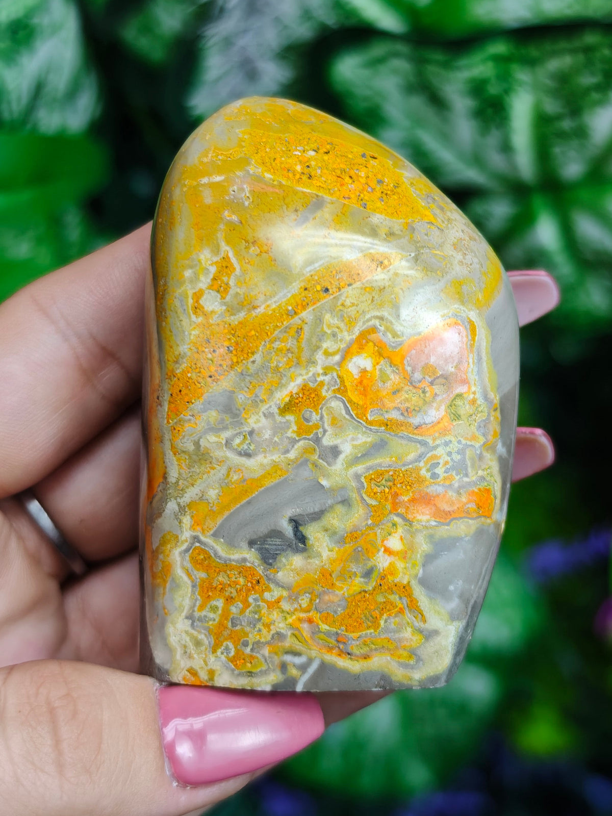 Bumblebee Jasper Freeform