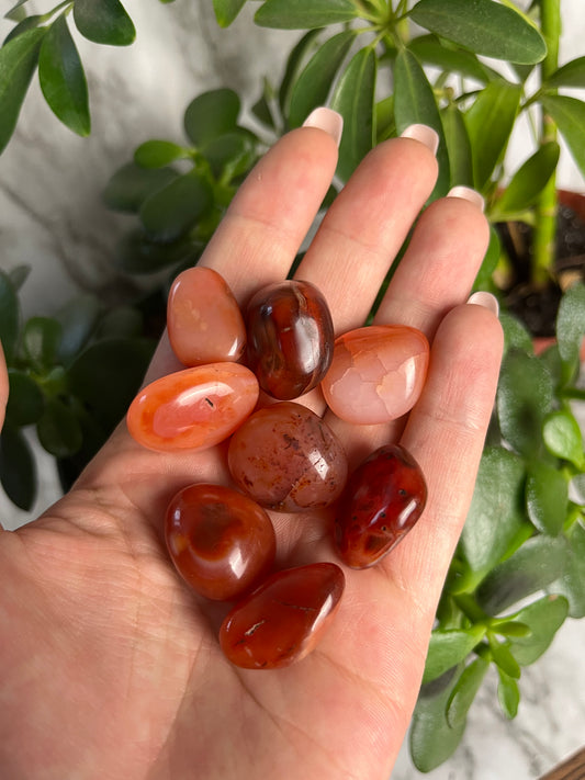 Carnelian Tumbled Stone