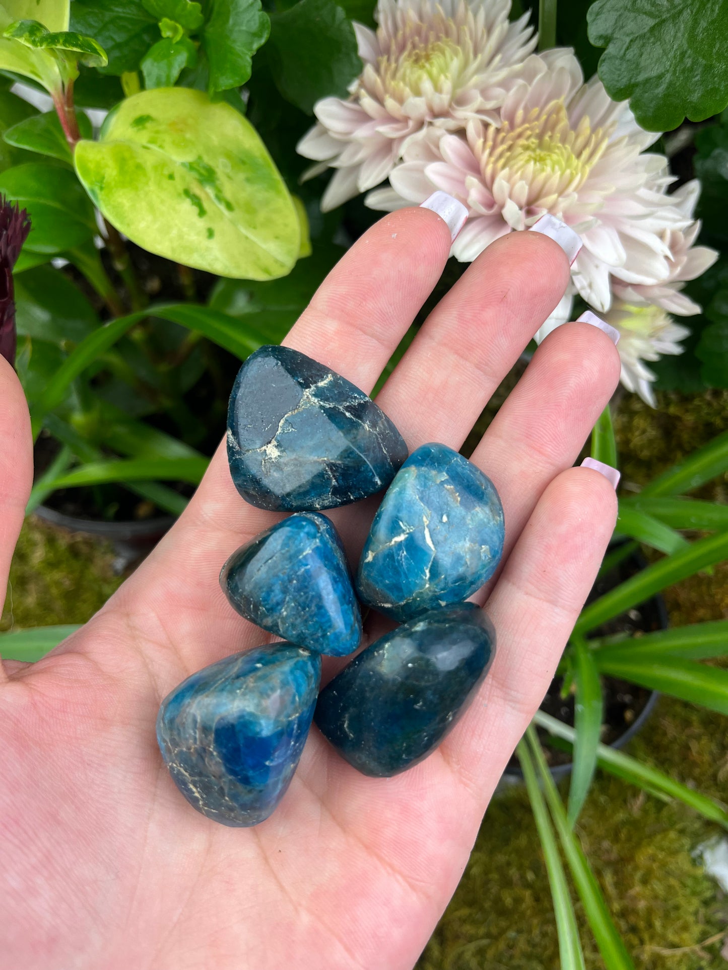 Apatite Tumbled Stone