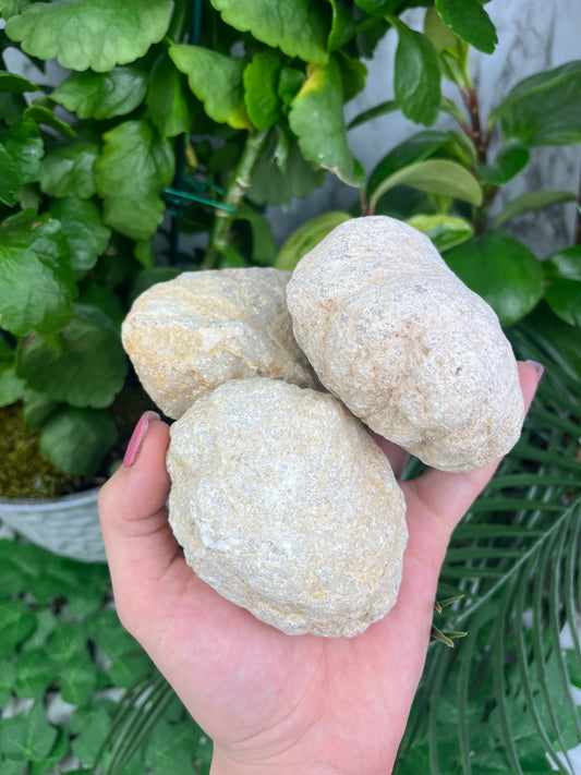 Crack Your Own Geodes (Various Sizes!)