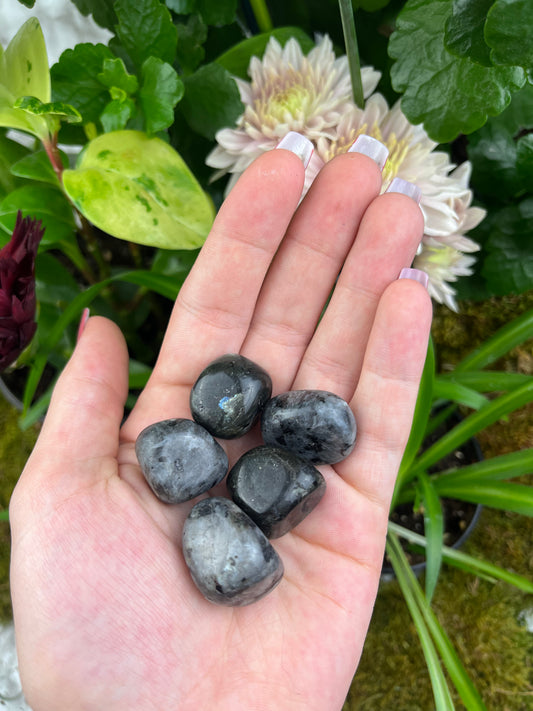 Larvikite Tumbled Stone